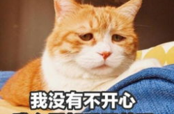 搞笑句子简短精辟,搞笑句子的精辟概述”