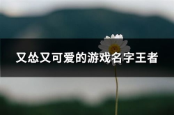 又怂又可爱的timi名,又怂又可爱的小世界
