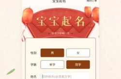 输入姓氏自动取名免费,为您量身定制独特名字