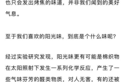 一层一层的剥开我的衣服作文,探寻自我