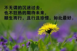 精辟人生感悟经典句子,人生感悟经典句子的智慧之光