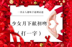 一家十口人打一字谜,破解家庭人口数字的趣味谜题”