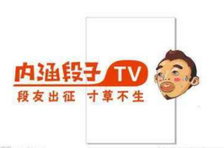 内涵段子因为什么封的,网络监管与平台责任的反思与启示”