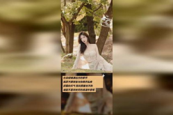 法式油画写真,光影交织的艺术魅力